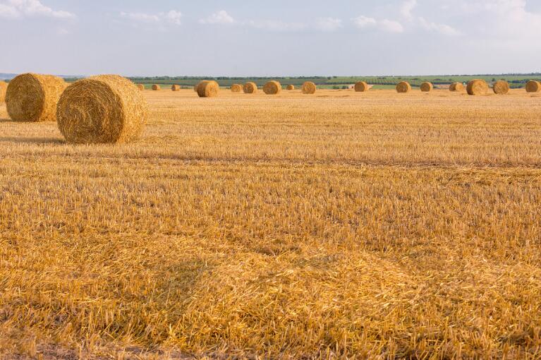 2025年湖南秸稈綜合利用技術推廣“田間日”暨農機事務中心主要負責人培訓在南縣舉辦