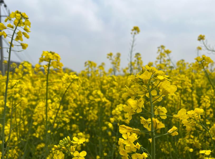 福州市出臺十條措施加快特色現代農業發展