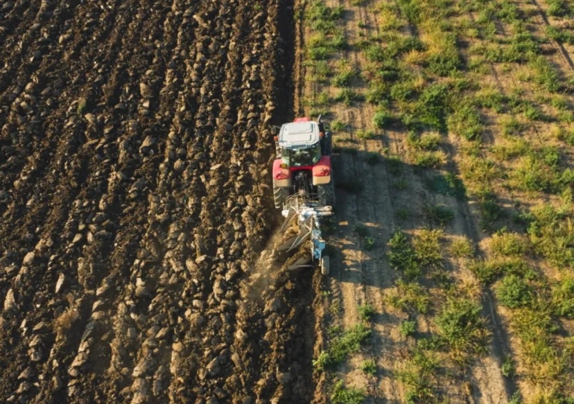 農(nóng)業(yè)農(nóng)村部召開黃淮海秋播工作調(diào)度會(huì)強(qiáng)調(diào) 全力抓好黃淮海秋冬種 夯實(shí)明年夏季糧油豐收基礎(chǔ)
